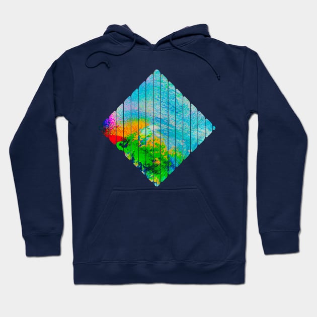 The Doppler Effect Hoodie by casualteesinc